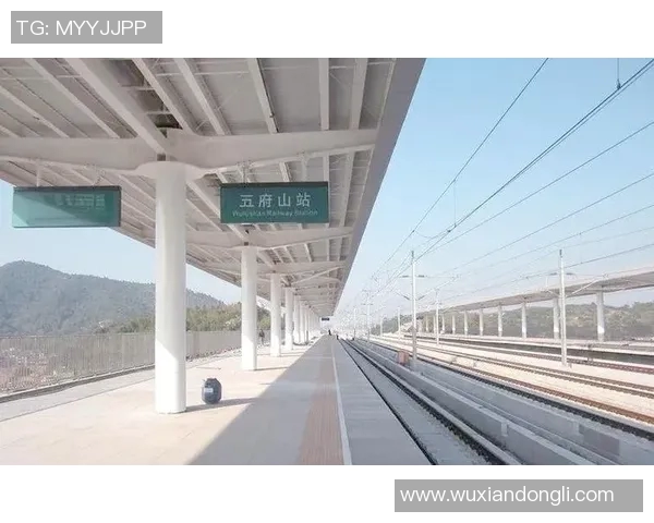 顶级足球明星的超凡技艺与不凡魅力让人叹为观止